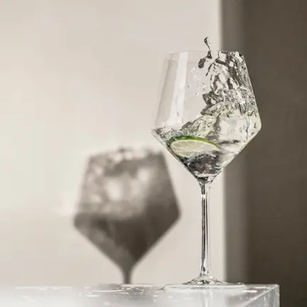 Zwiesel Pure Burgundy Rödvinsglas 2-pack 69 cl Klar