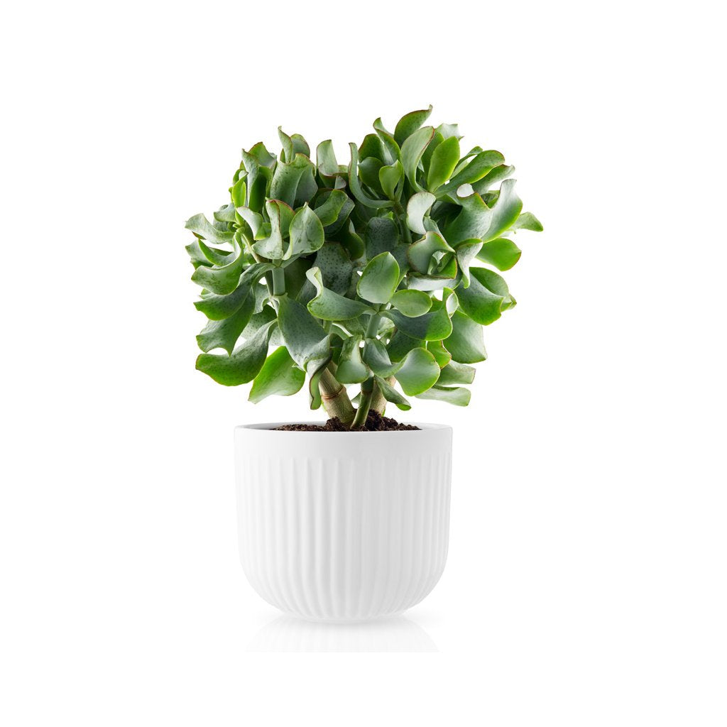 Eva Solo Blomkruka LEGIO NOVA 15,5 cm, vit