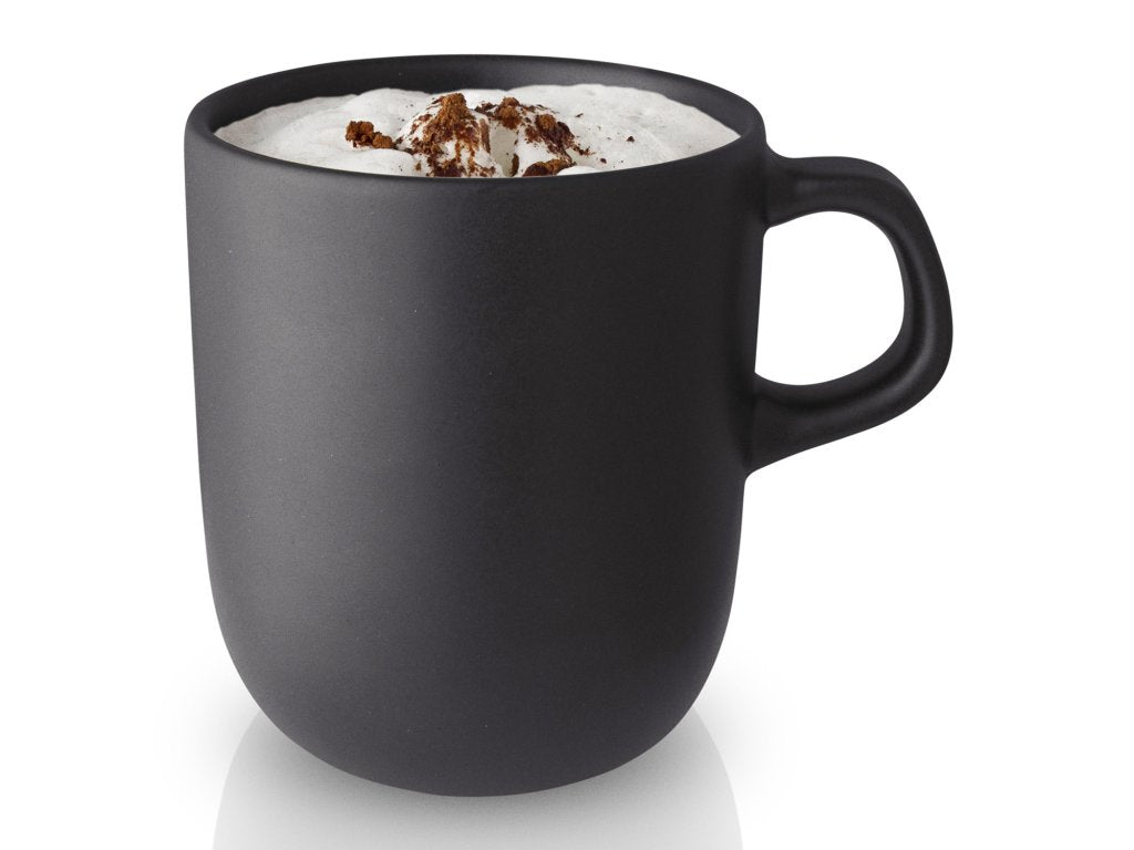 Eva Solo Temugg NORDIC KITCHEN 400 ml, svart, stengods