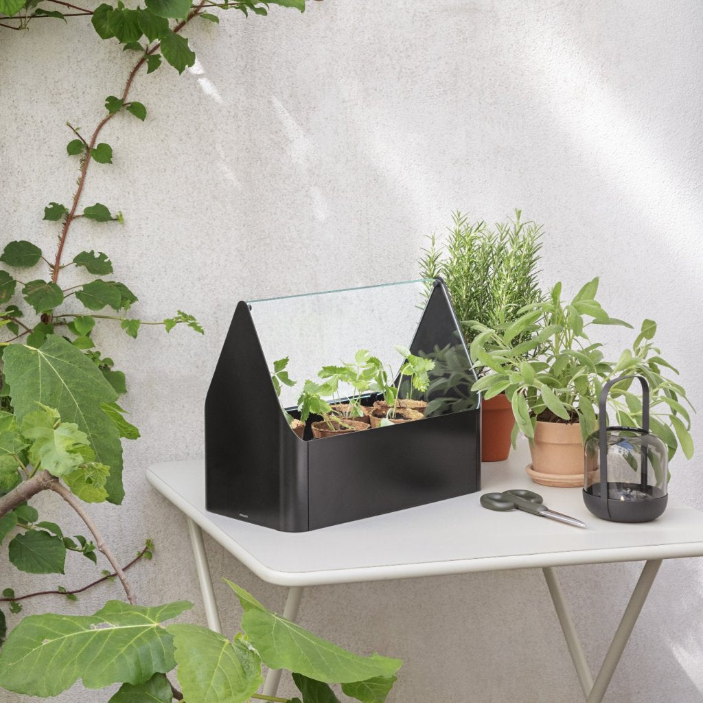 Eva Solo Krukväxt SIMPLY GROW 42 x 32 cm, svart, stål