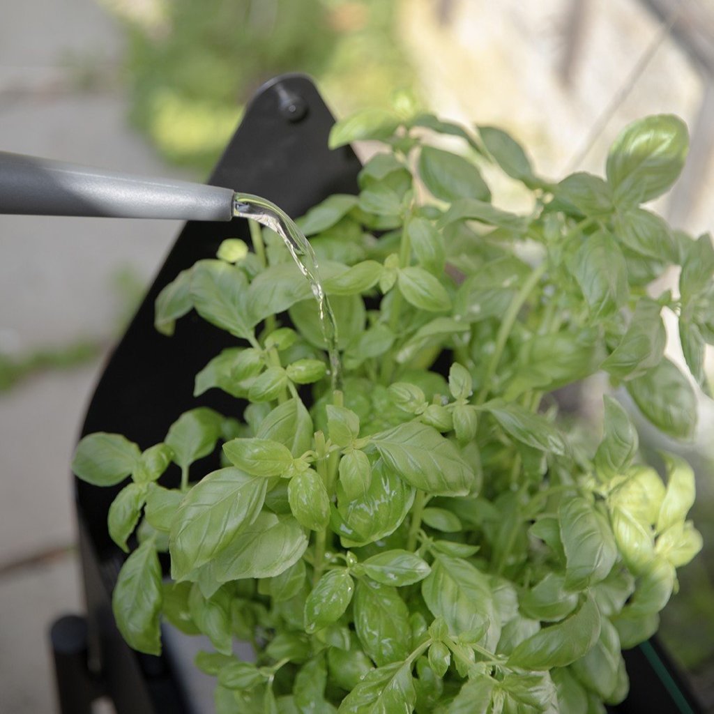 Eva Solo Ställ för blommor SIMPLY GROW 80 x 73 cm, svart, stål