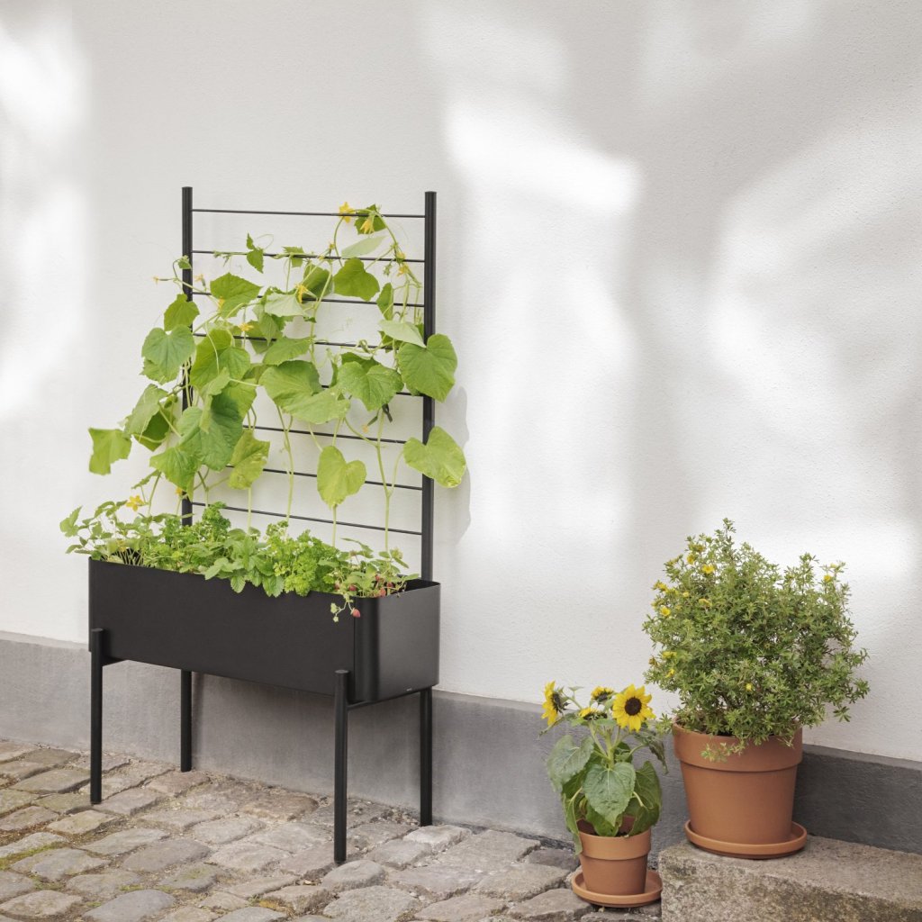 Eva Solo Stöd för växter SIMPLY GROW 70 x 102 cm, svart, stål