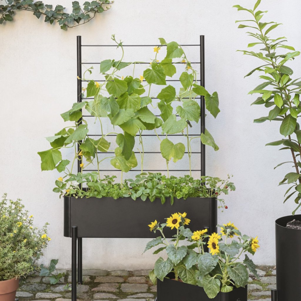 Eva Solo Stöd för växter SIMPLY GROW 70 x 102 cm, svart, stål