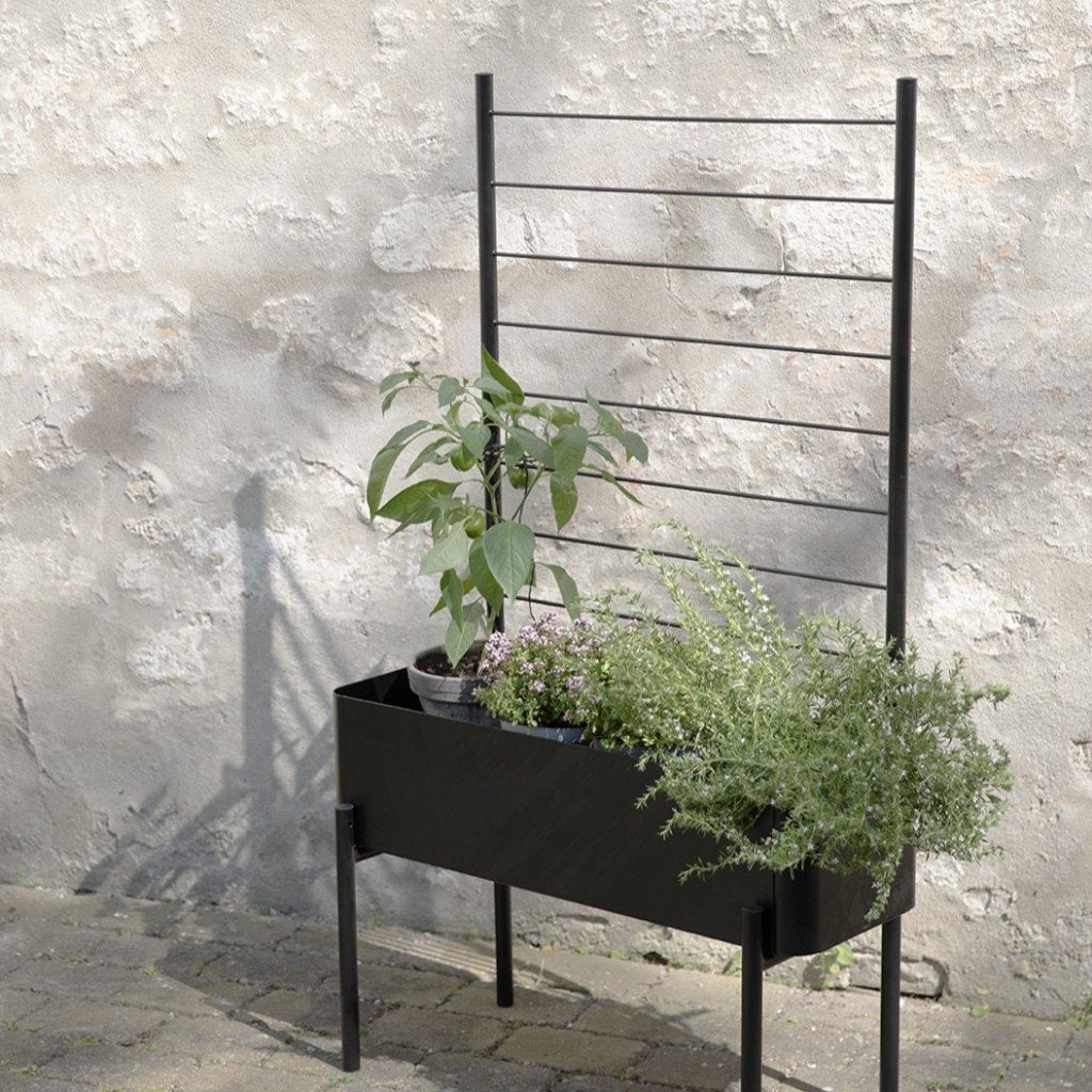 Eva Solo Stöd för växter SIMPLY GROW 70 x 102 cm, svart, stål