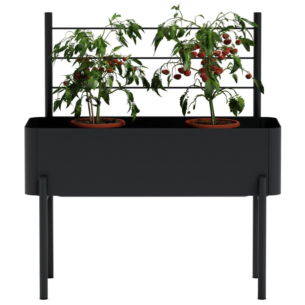 Eva Solo Stöd för växter SIMPLY GROW 70 x 102 cm, svart, stål