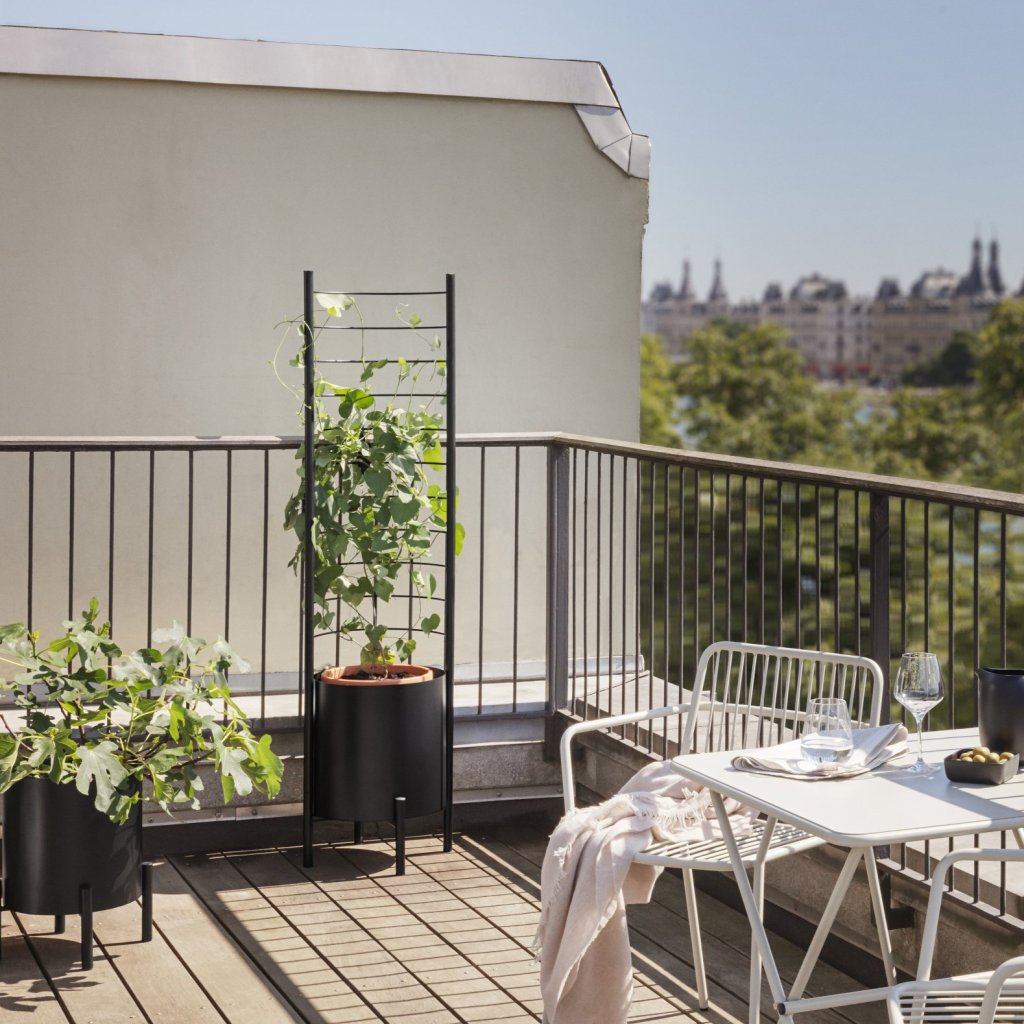 Eva Solo Stöd för växter SIMPLY GROW 42 x 145 cm, svart, stål