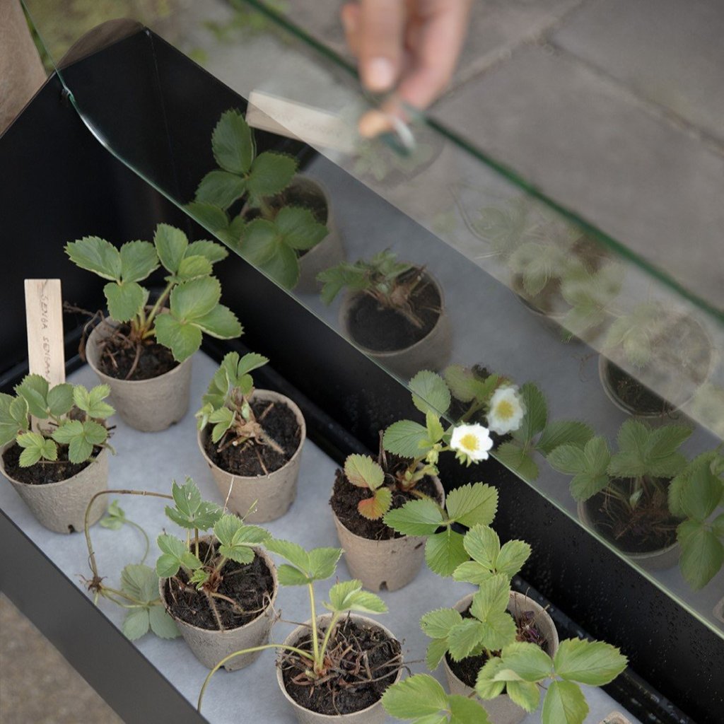 Eva Solo Stativ för växter SIMPLY GROW 80 x 63 cm, svart, stål