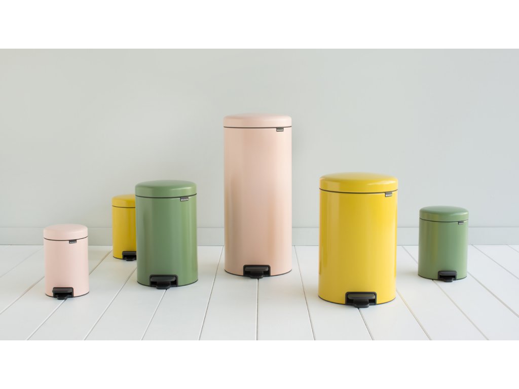 Brabantia Pedalhink NEWICON 20 l, matt stål