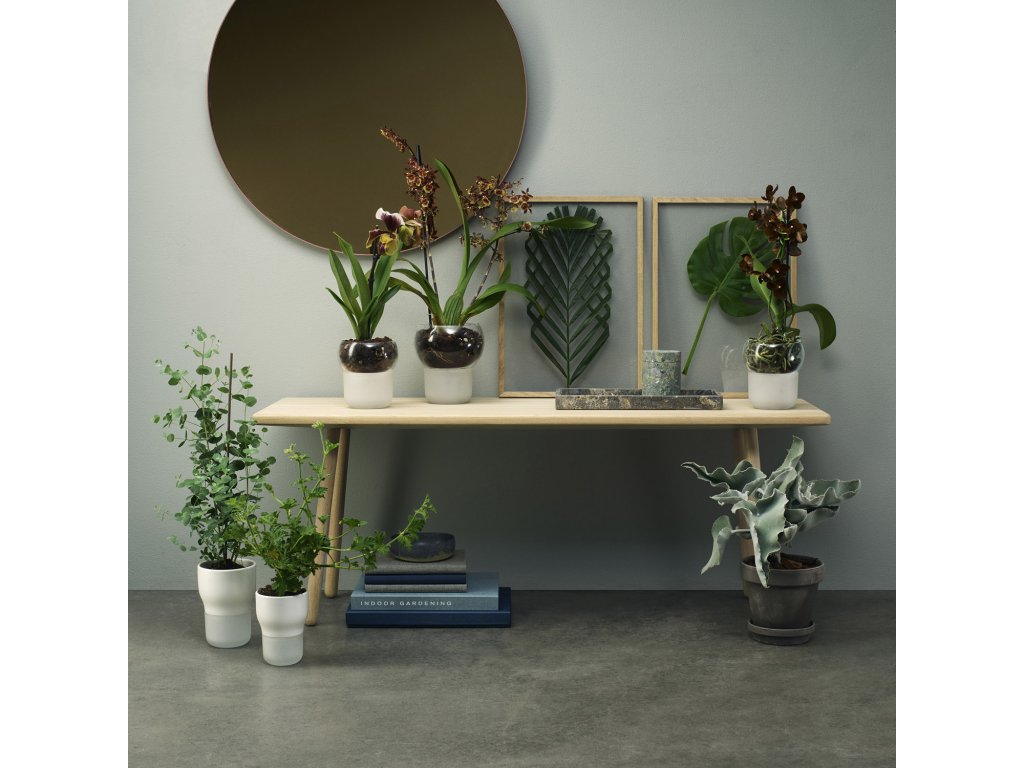 Eva Solo Självvattnande blomkruka 15 cm, för orkidéer, glas