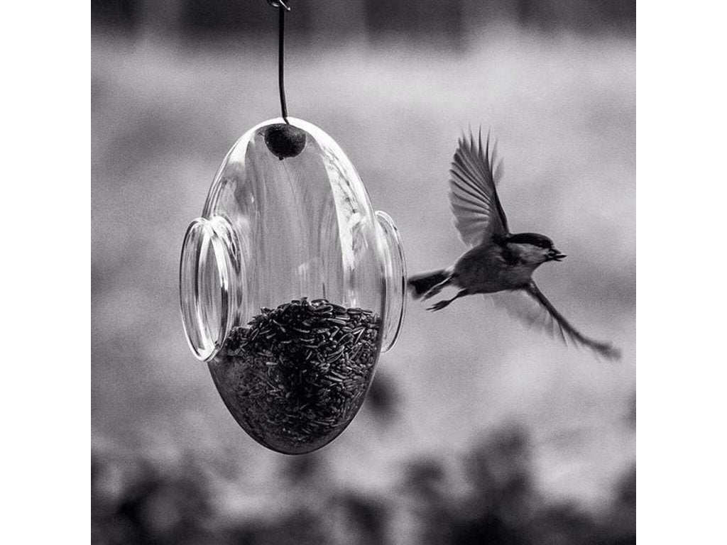 Eva Solo Fågelmatare 14 cm, hängande, glas