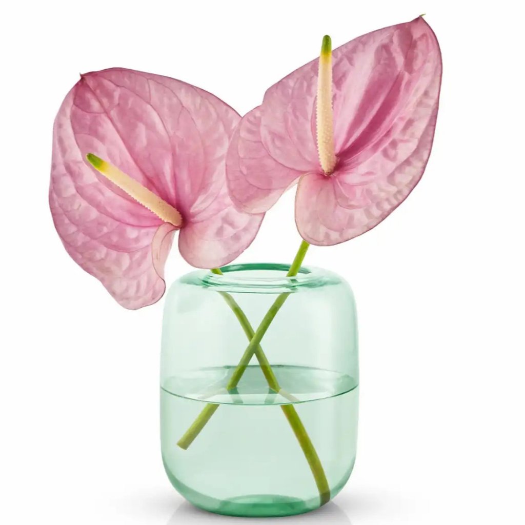 Eva Solo Vas ACORN 16,5 cm, mintgrön