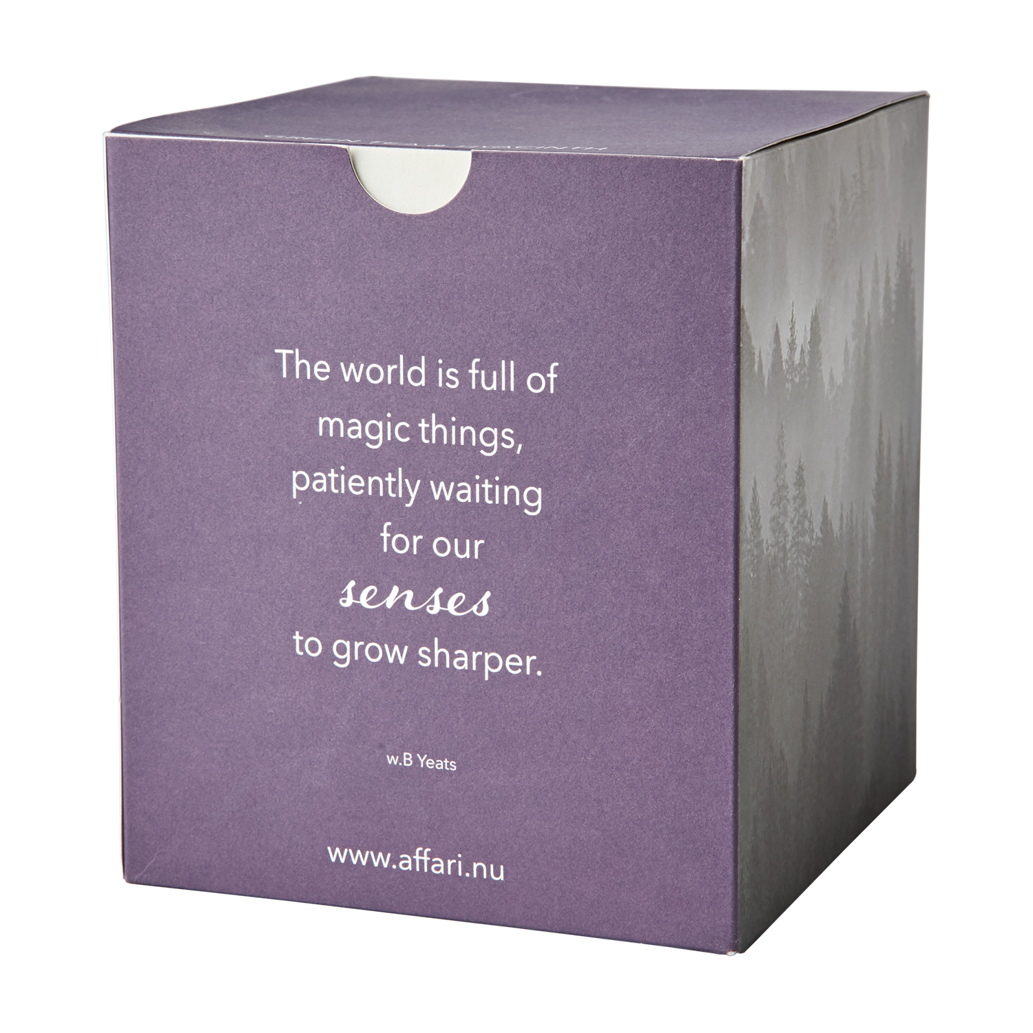 Affari of Sweden SENSE Doftljus Green tea & hyacinth, Lila