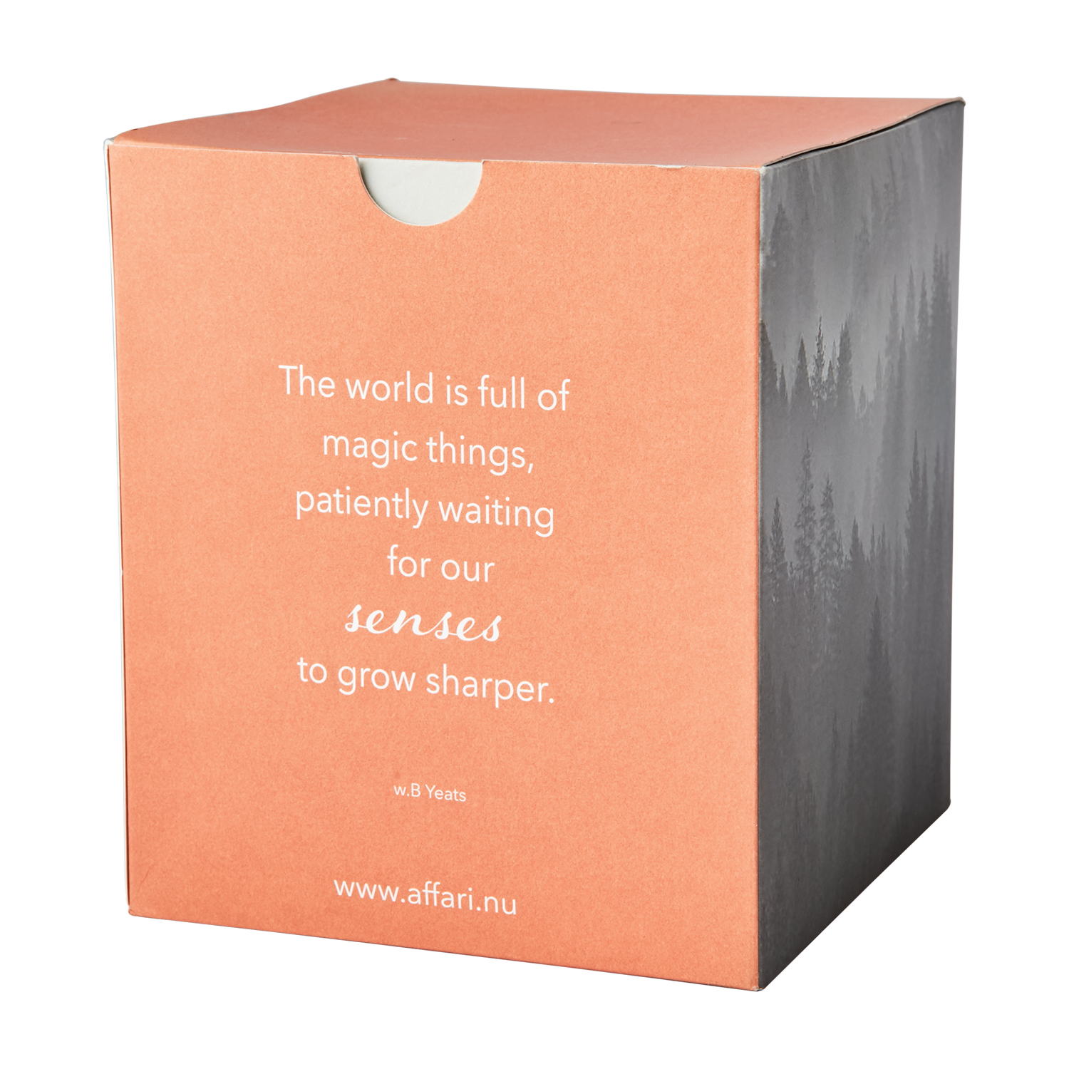 Affari of Sweden SENSE Doftljus Blood orange, Orange