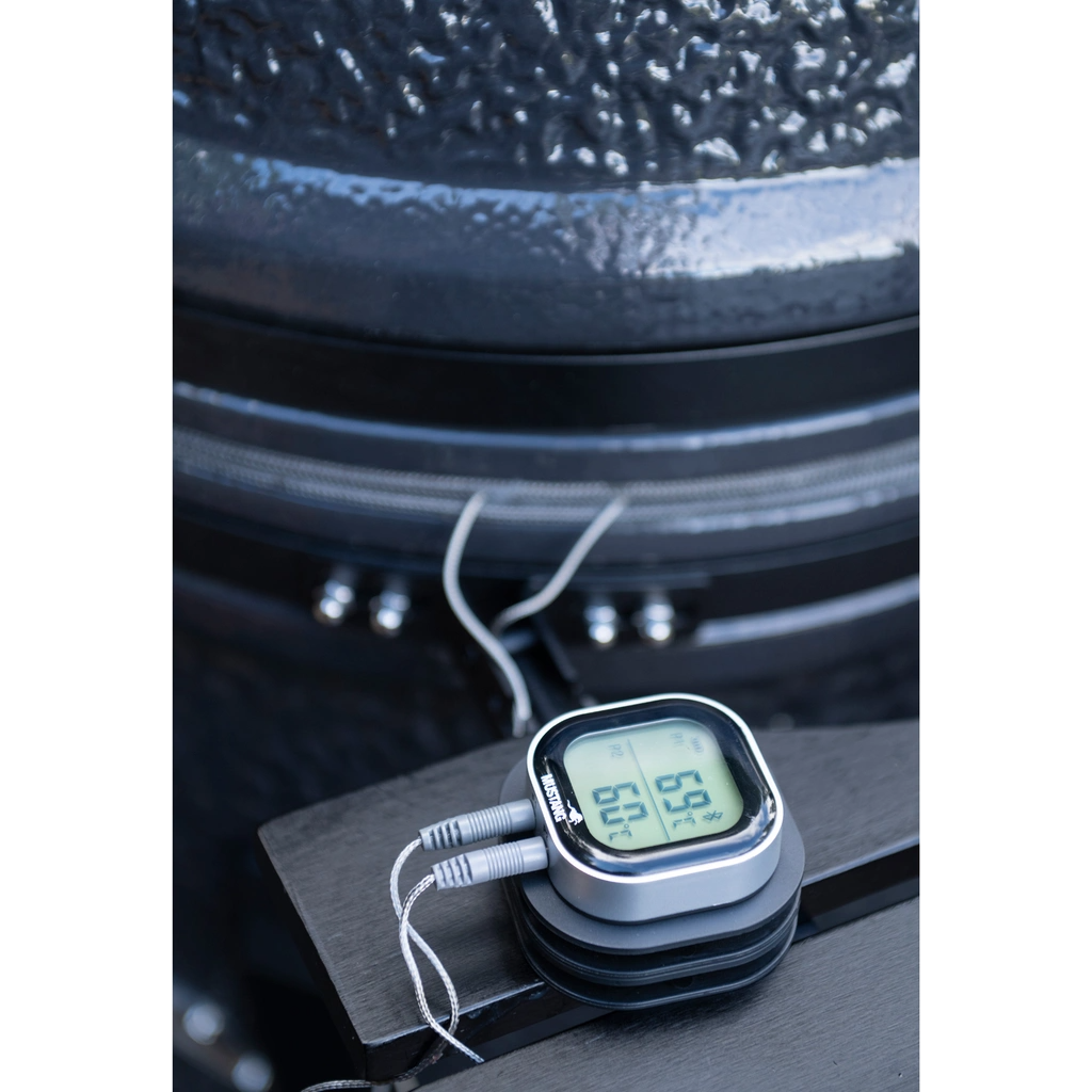 Mustang Digital Thermometer