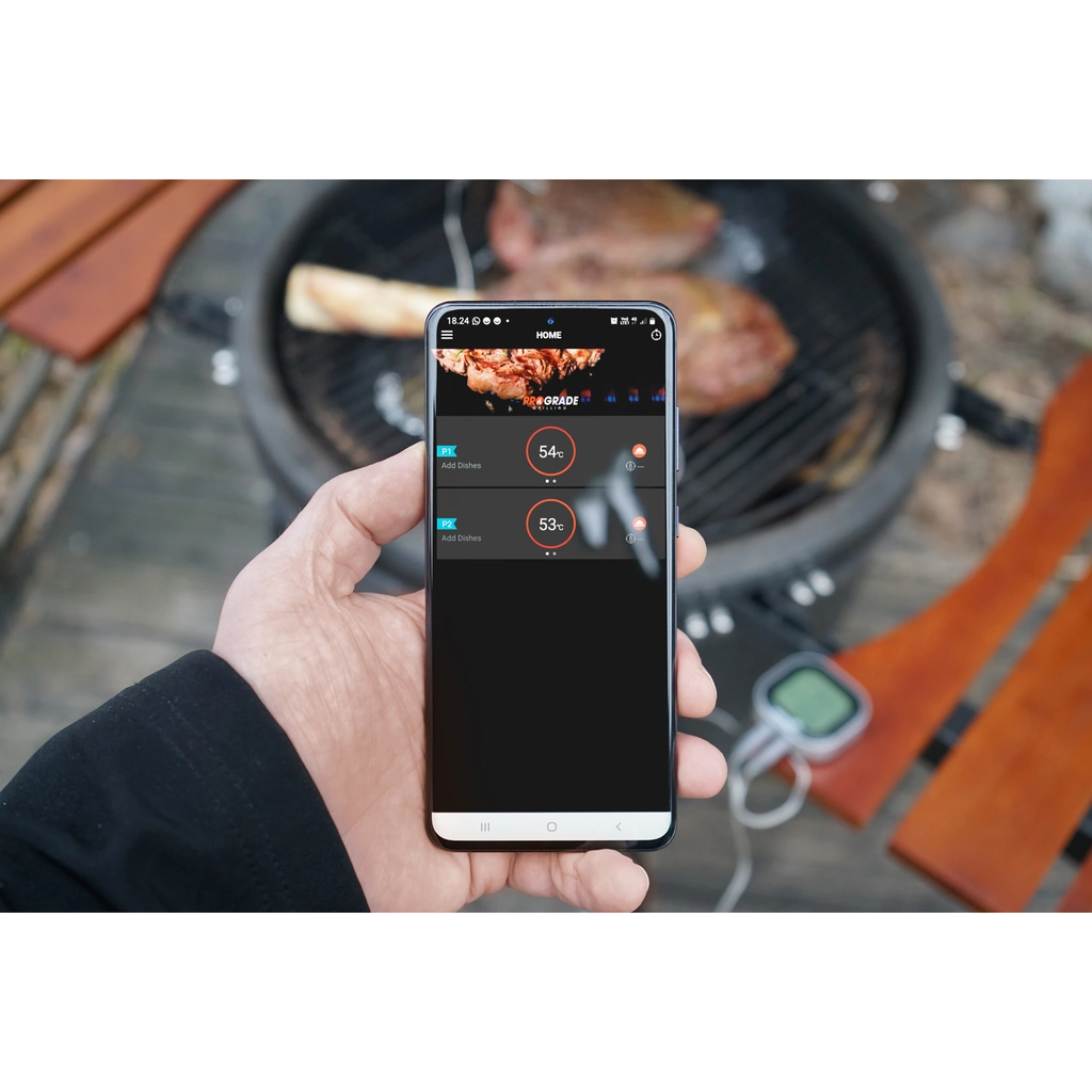 Mustang Digital Thermometer