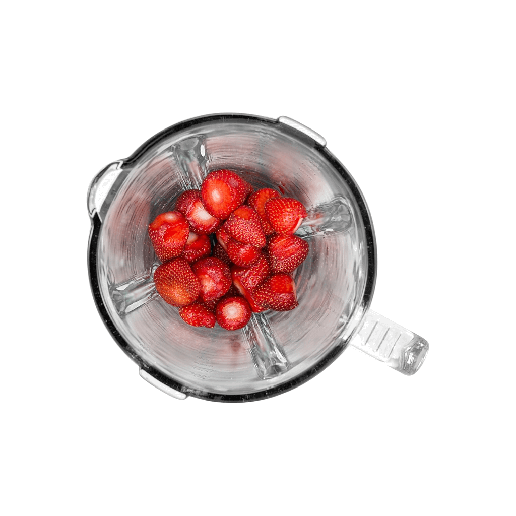 Champion Blender 1,5L 600W Glaskanna BL310 Rostfri