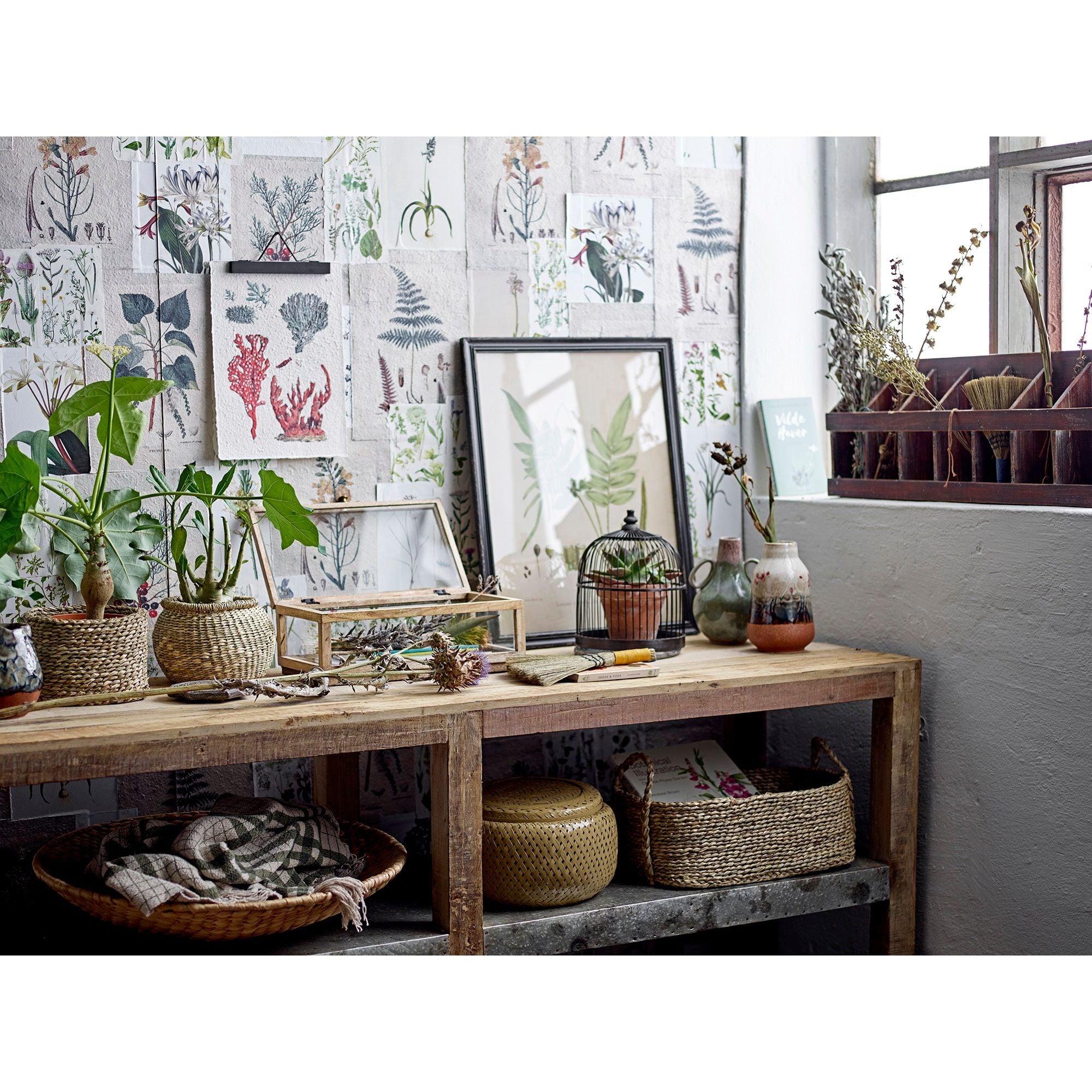 Creative Collection Chilas Clip, Svart, Barrträ