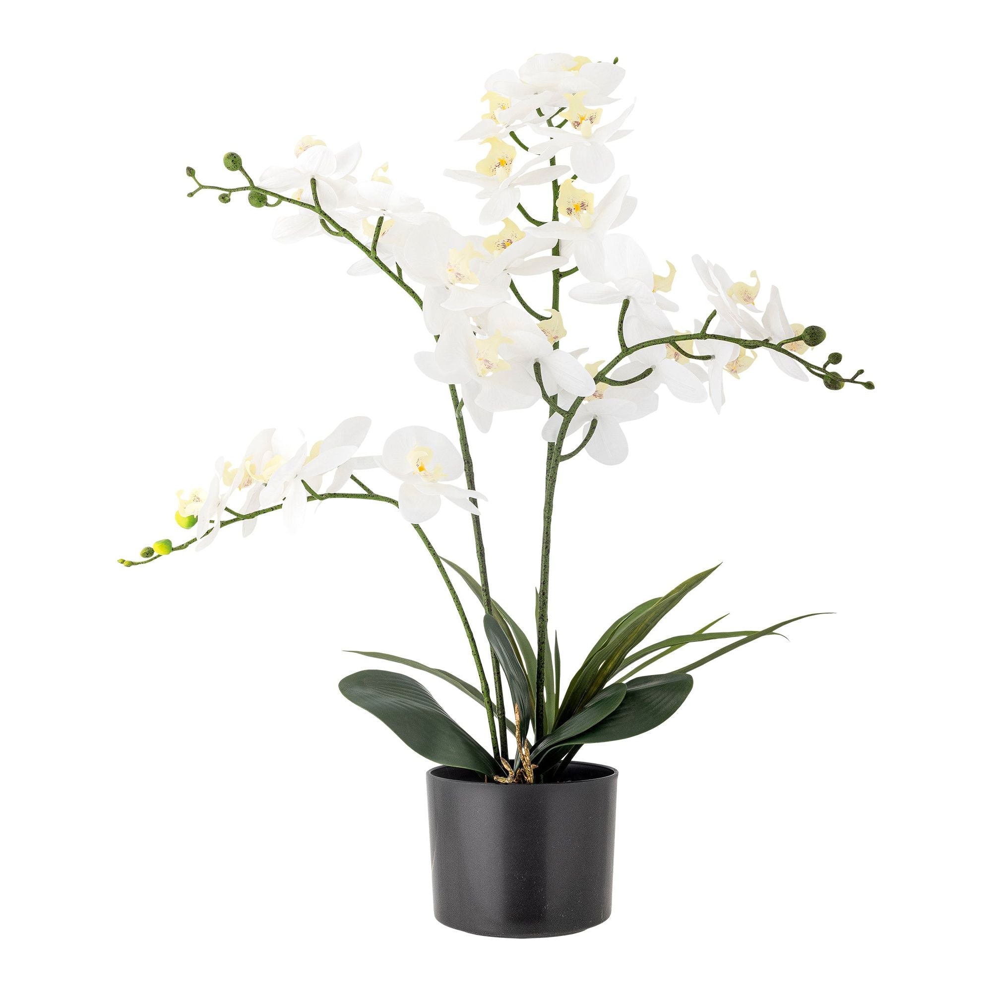 Bloomingville Orchid Plant, Grön, Konstgjorda Blommor