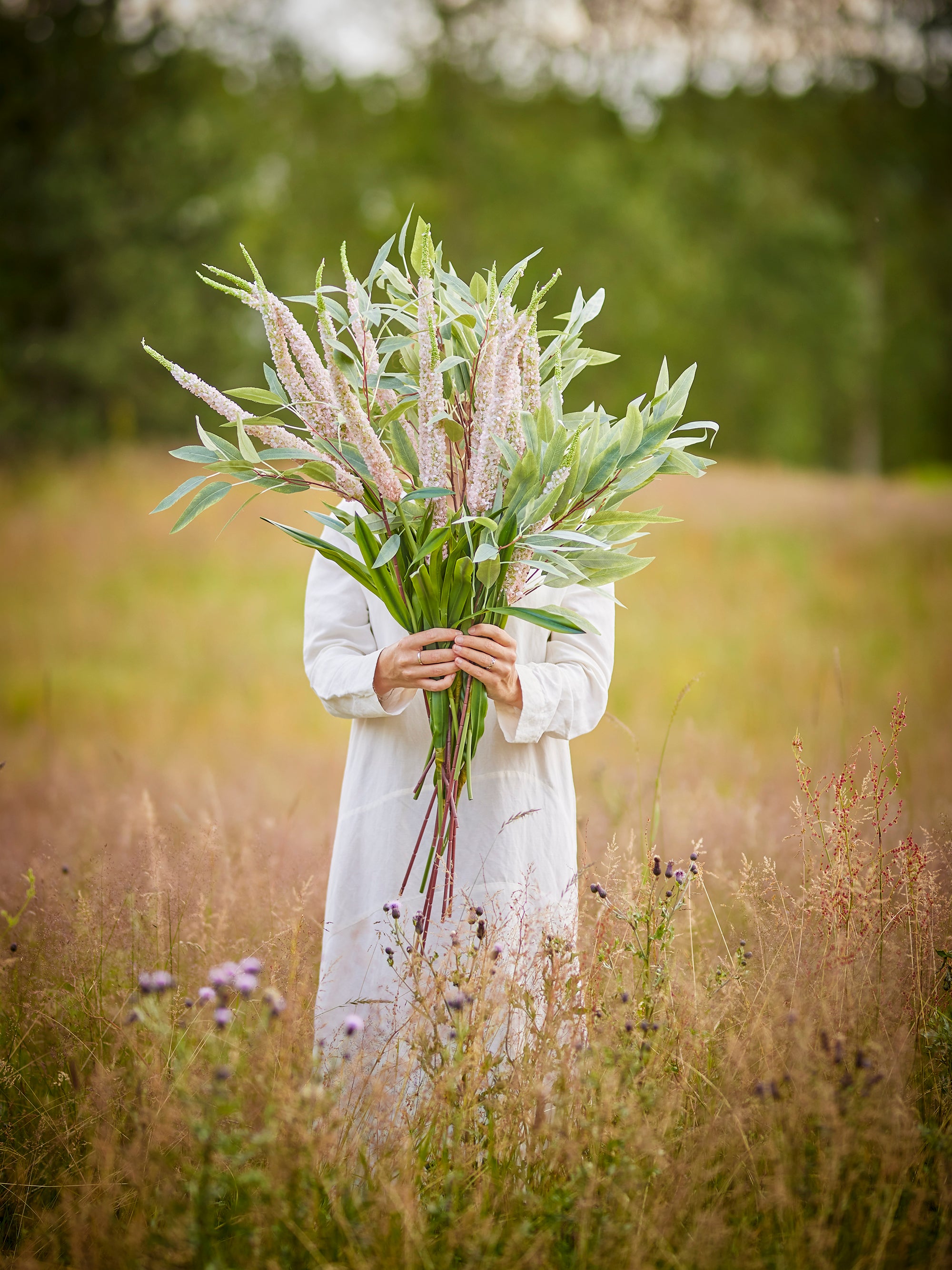 Bloomingville Eucalyptus Stjälk, Grön, Konstgjorda Blommor