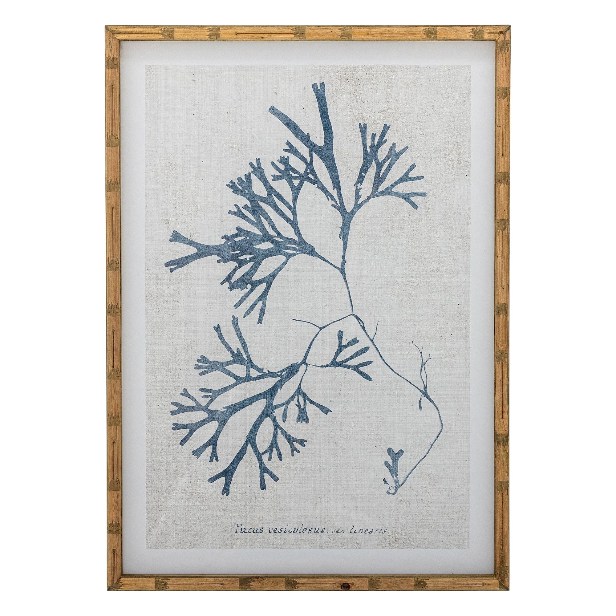 Creative Collection Sumner Illustration med Ram, Natur, Furu