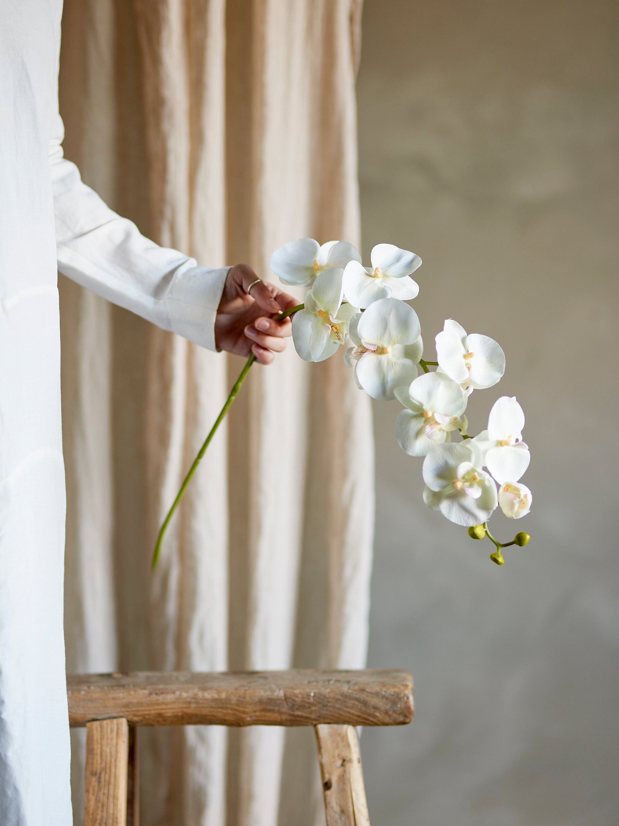 Bloomingville Orchid Stjälk, Vit, Konstgjorda Blommor