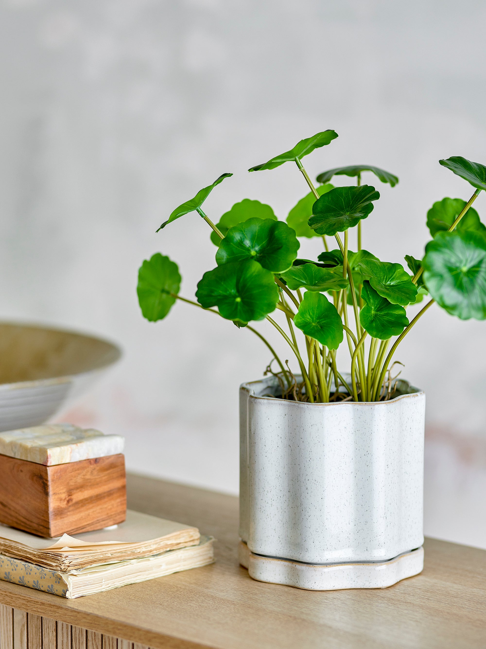 Bloomingville Argyle Blomkruka med Fat, Grå, Stengods