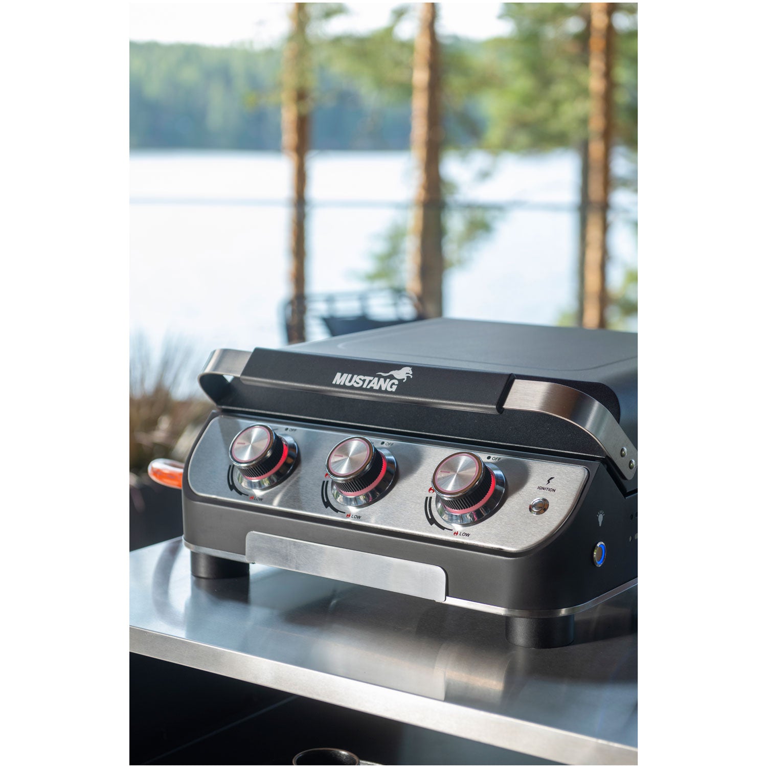 Mustang Gasolgrill Plate 3