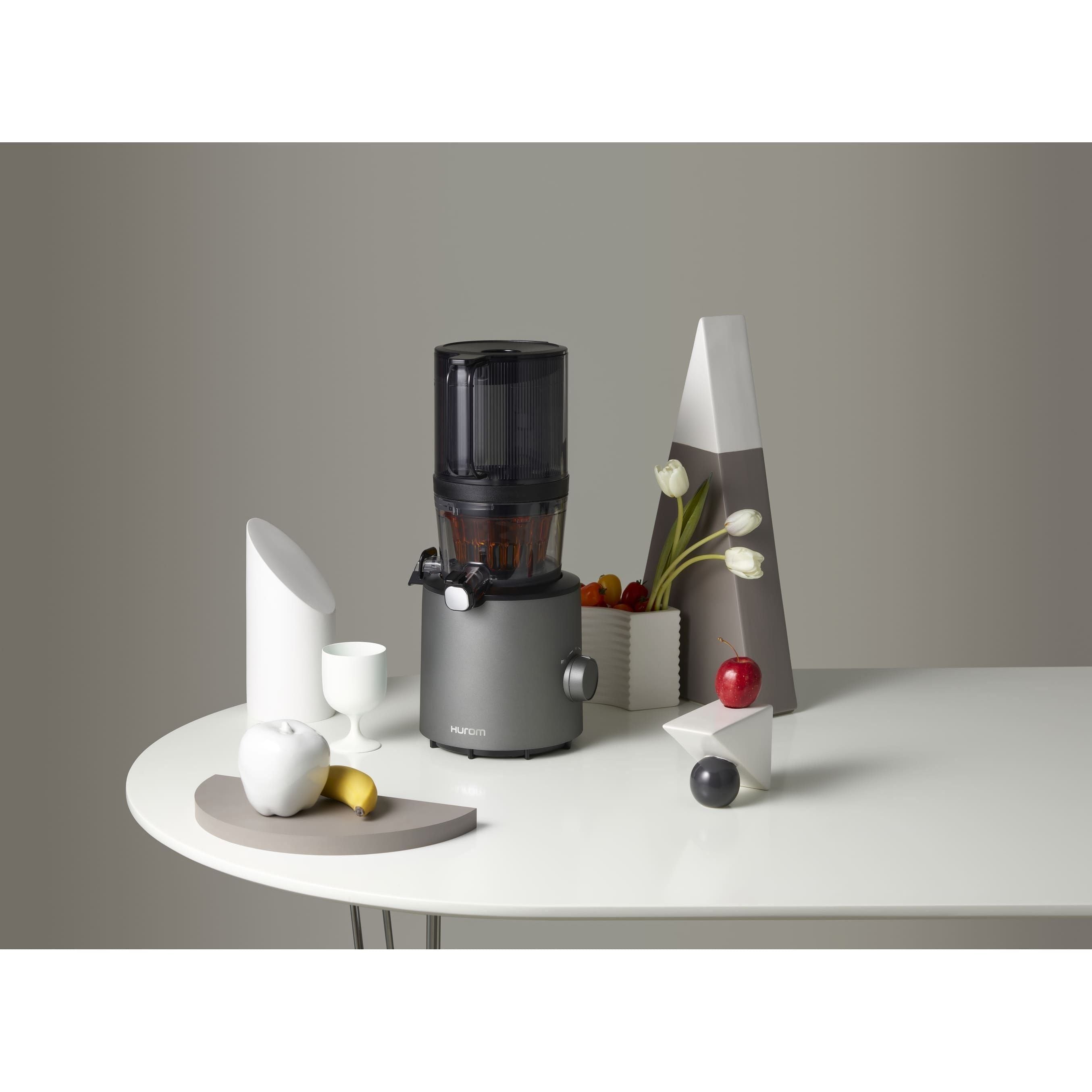 Hurom H201 Slow Juicer Silver