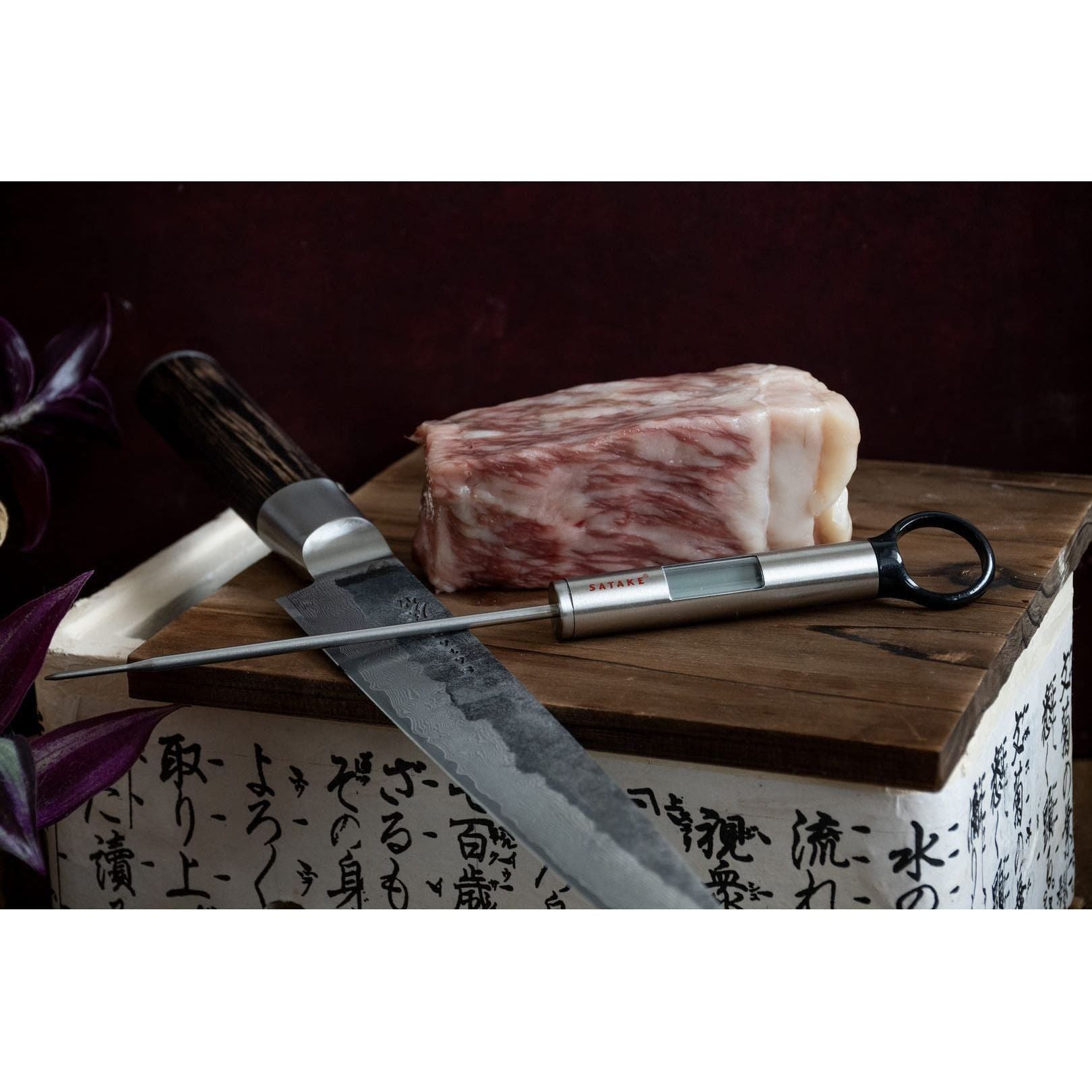 Satake Digital Universaltermometer