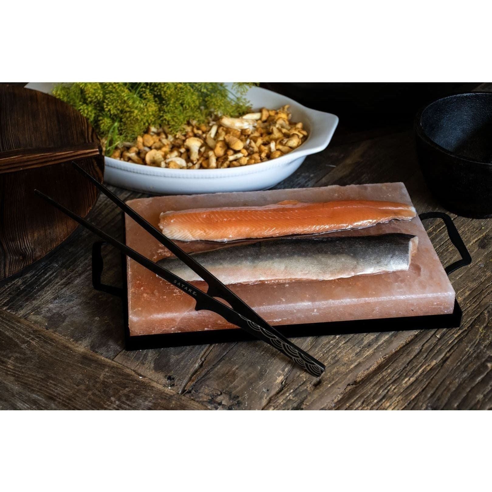 Satake Saltsten Med Hållare Himalayasalt 30x20 cm