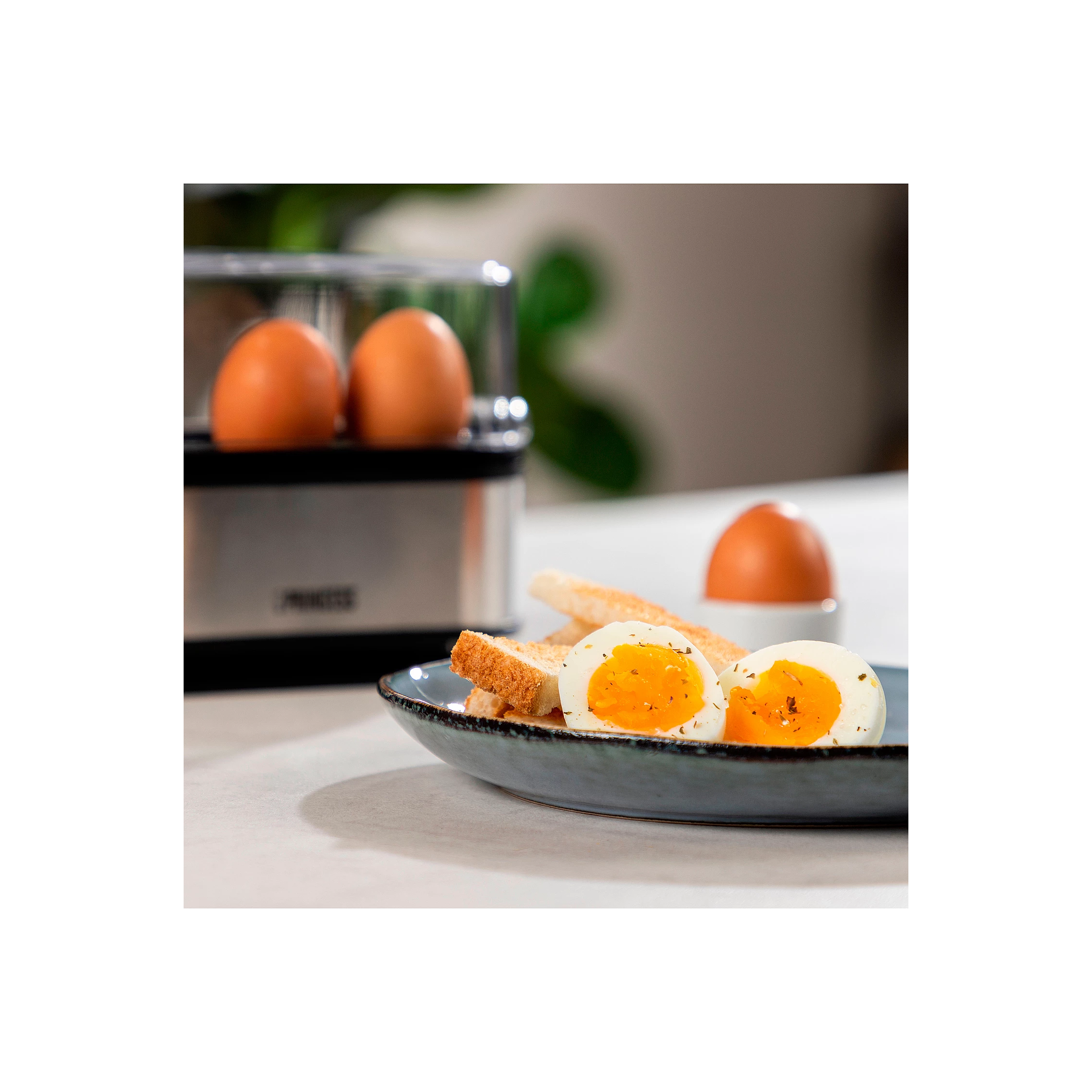 Princess Äggkokare 6ägg 400Watt Rostfritt stål