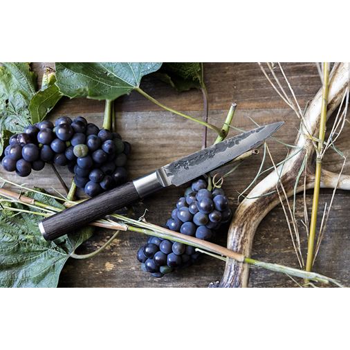 Satake Kuro petty 11 cm