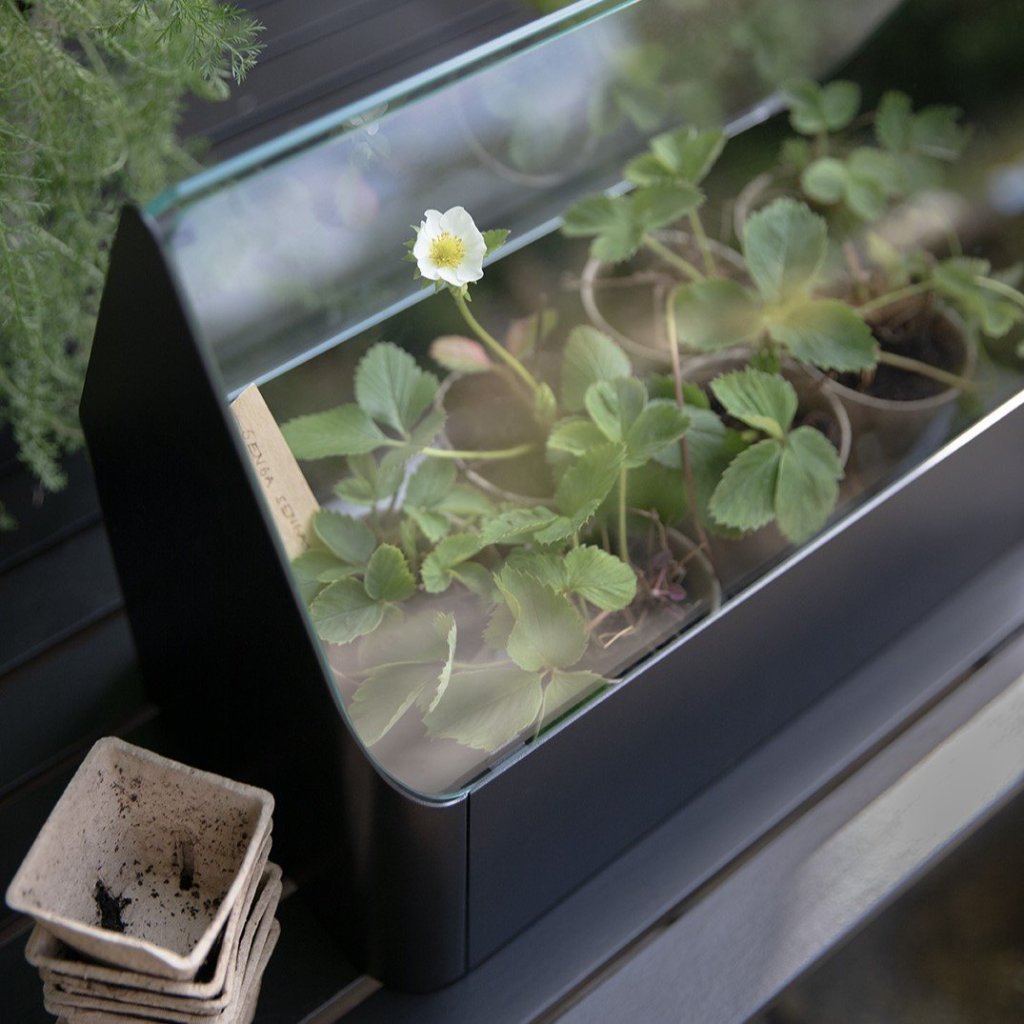 Eva Solo Krukväxt SIMPLY GROW 42 x 32 cm, svart, stål