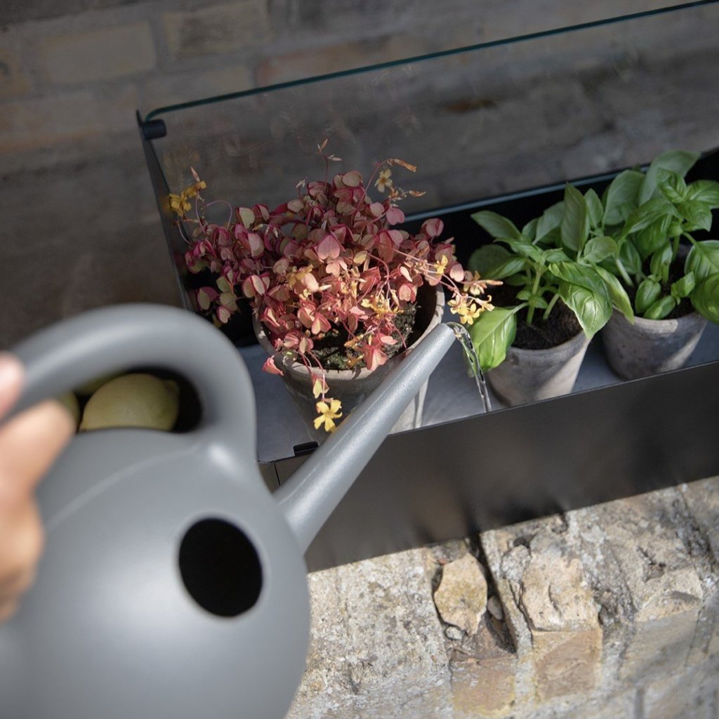 Eva Solo Krukväxt SIMPLY GROW 42 x 32 cm, svart, stål