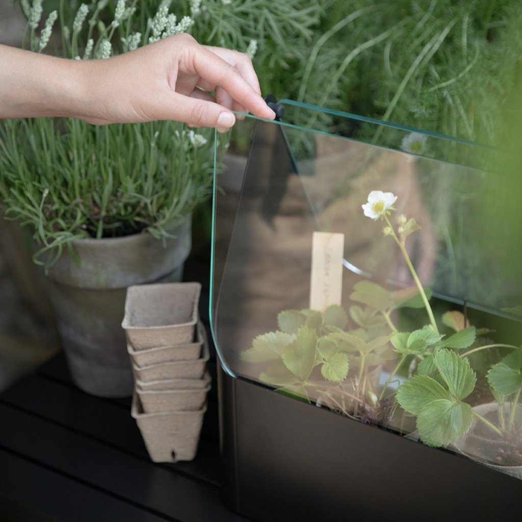 Eva Solo Krukväxt SIMPLY GROW 42 x 32 cm, svart, stål