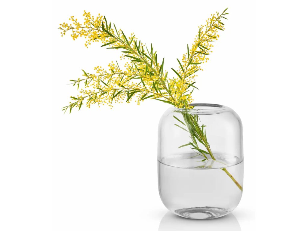 Eva Solo Vas ACORN 16,5 cm, klart glas