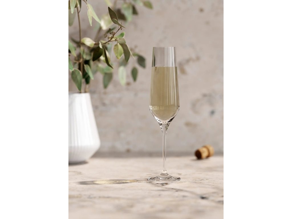 Eva Solo Champagneglas LEGIO NOVA, set i 6 delar, 260 ml