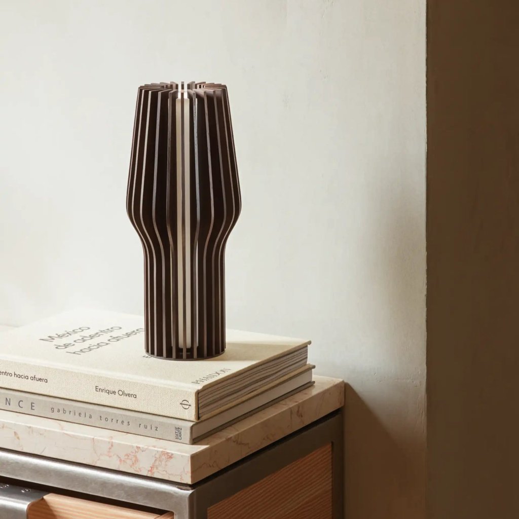 Eva Solo Bärbar bordslampa RADIANT 28 cm, LED, mörk brun, trä