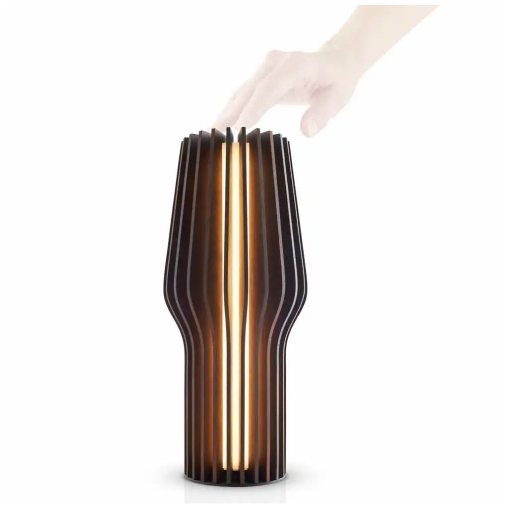 Eva Solo Bärbar bordslampa RADIANT 28 cm, LED, mörk brun, trä