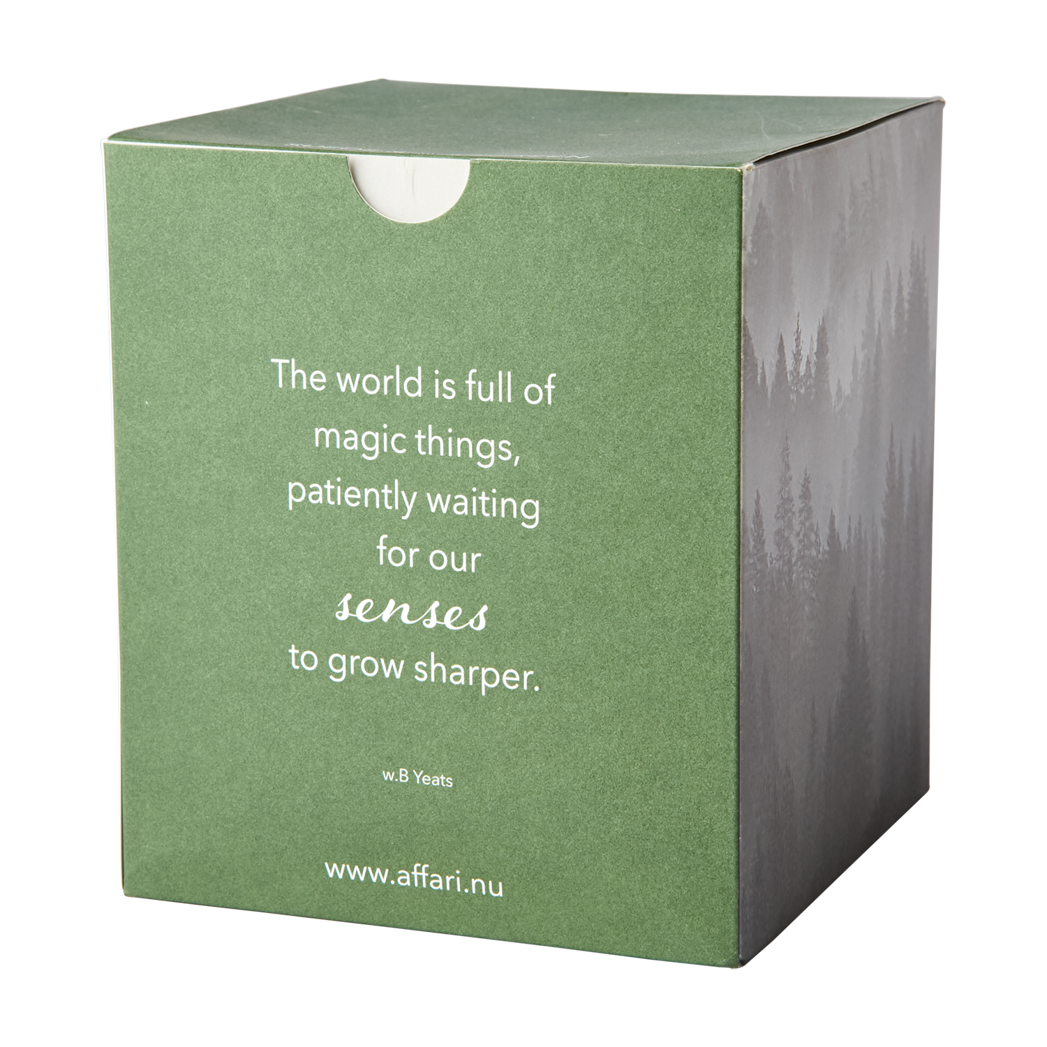 Affari of Sweden SENSE Doftljus Suede & evergreen, Grön