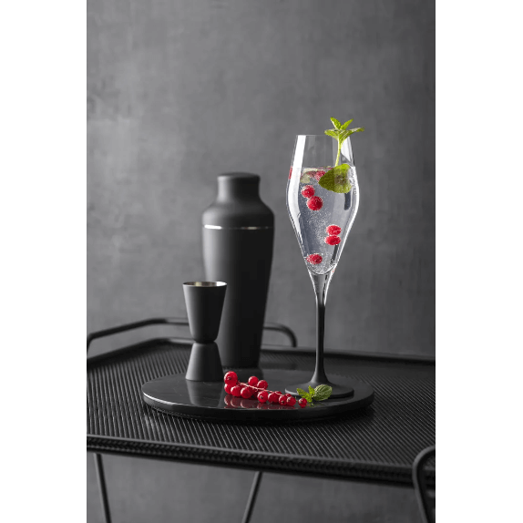 Villeroy & Boch Manufacture Rock Champagneglas 26 cl 4-pack Klar-Svart