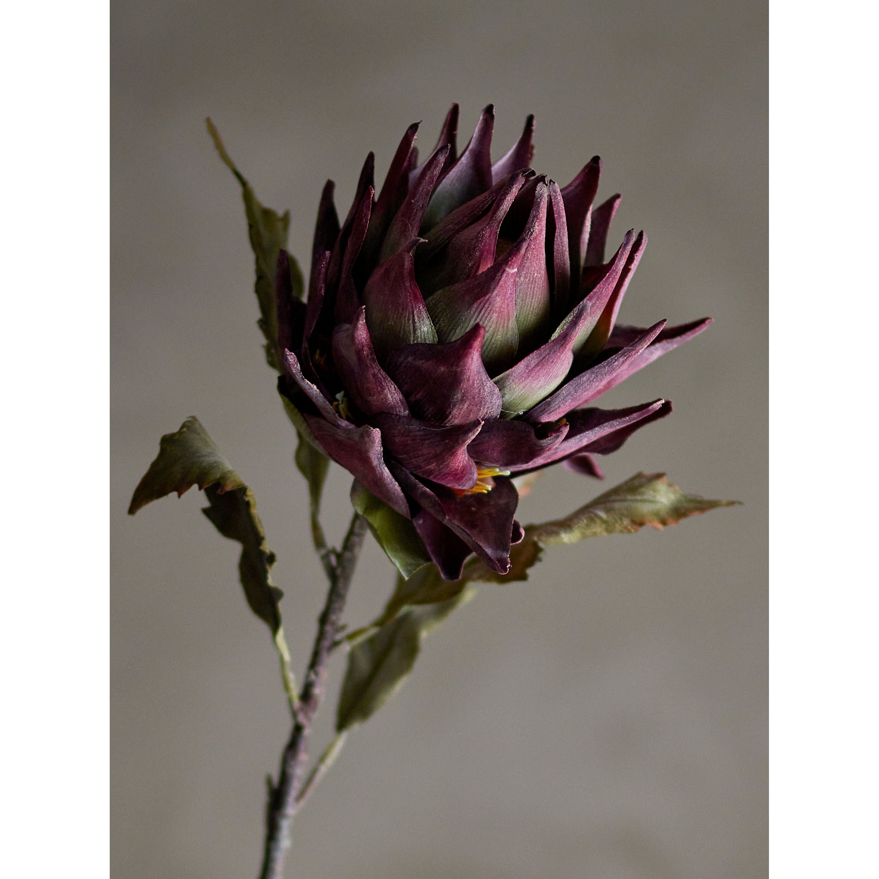 Bloomingville Protea Stjälk, Lila, Konstgjorda Blommor