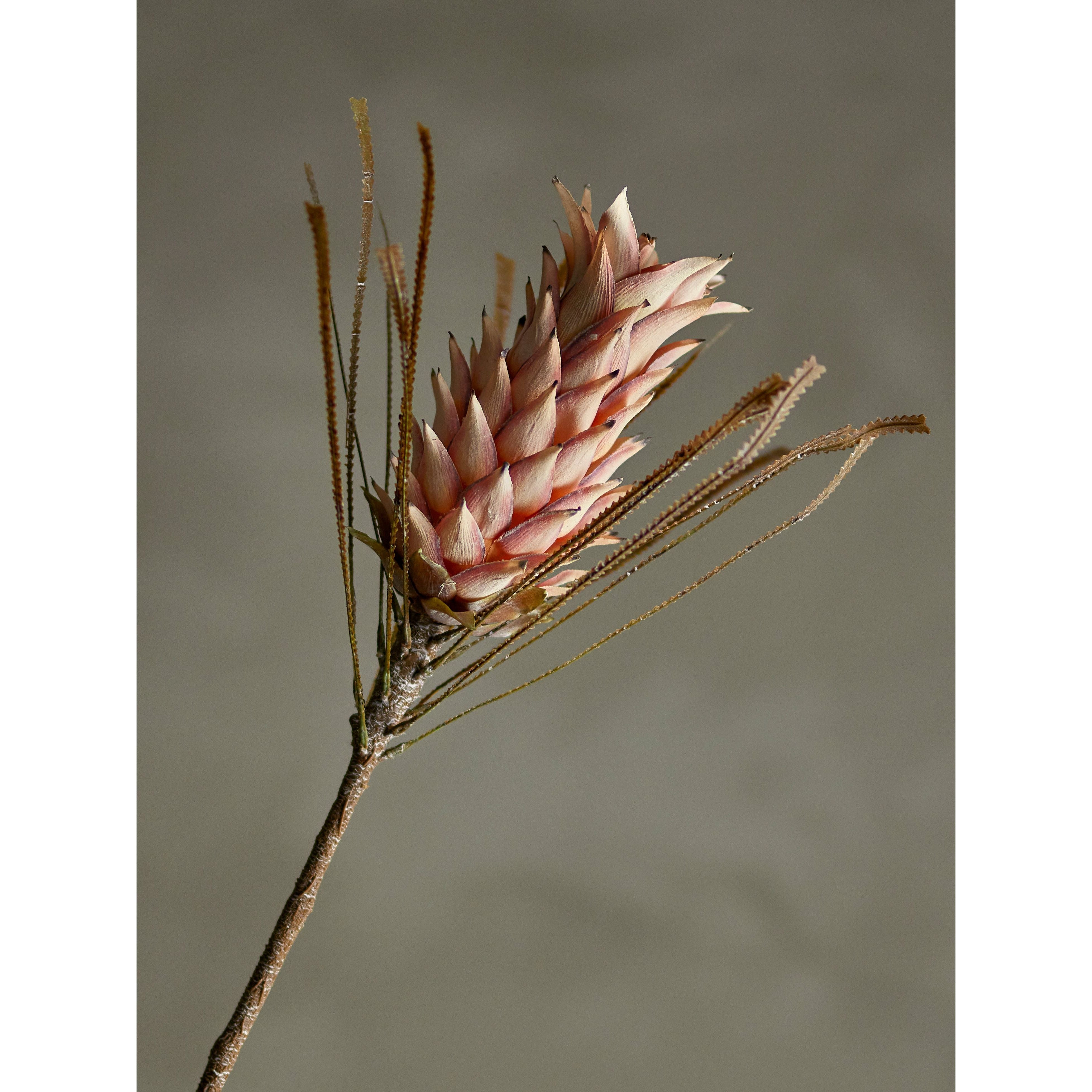 Bloomingville Palmflower Stjälk, Ros, Konstgjorda Blommor