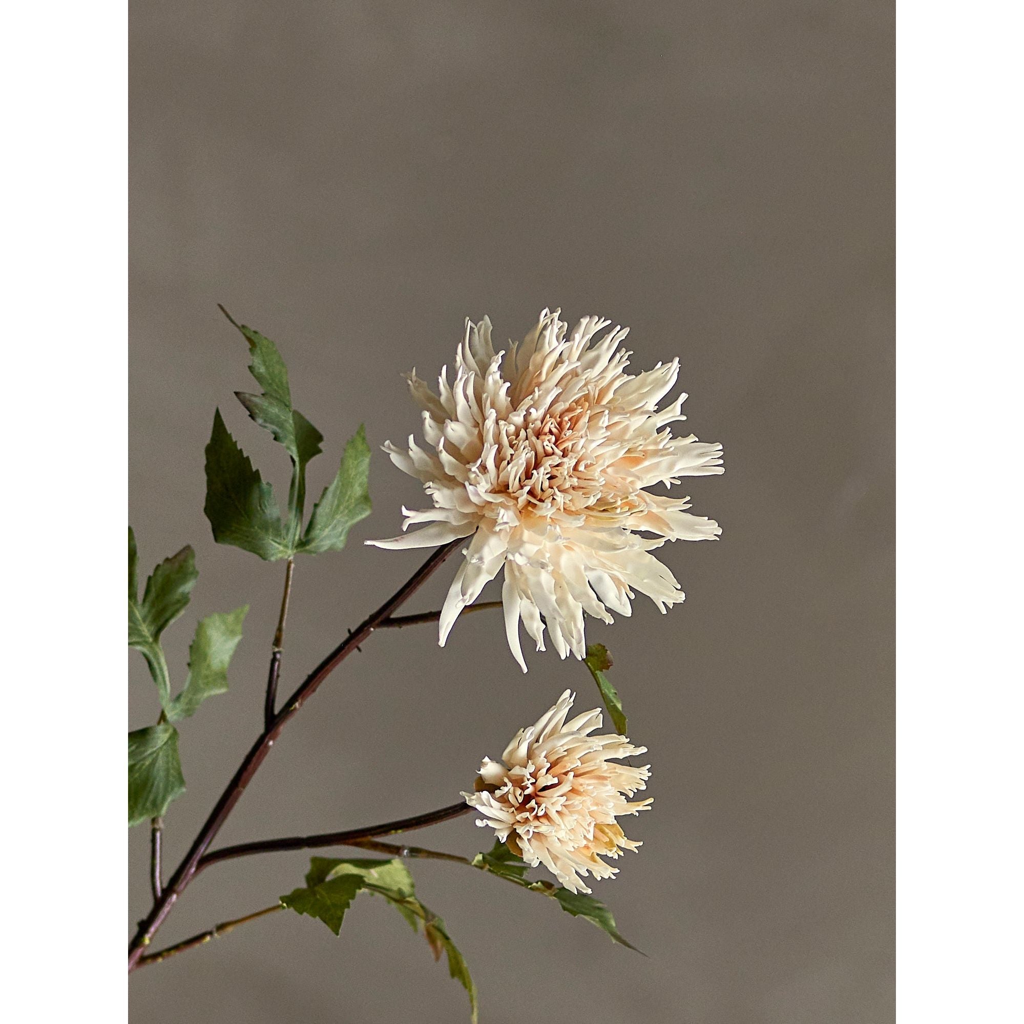 Bloomingville Chrysantemum Stjälk, Natur, Konstgjorda Blommor