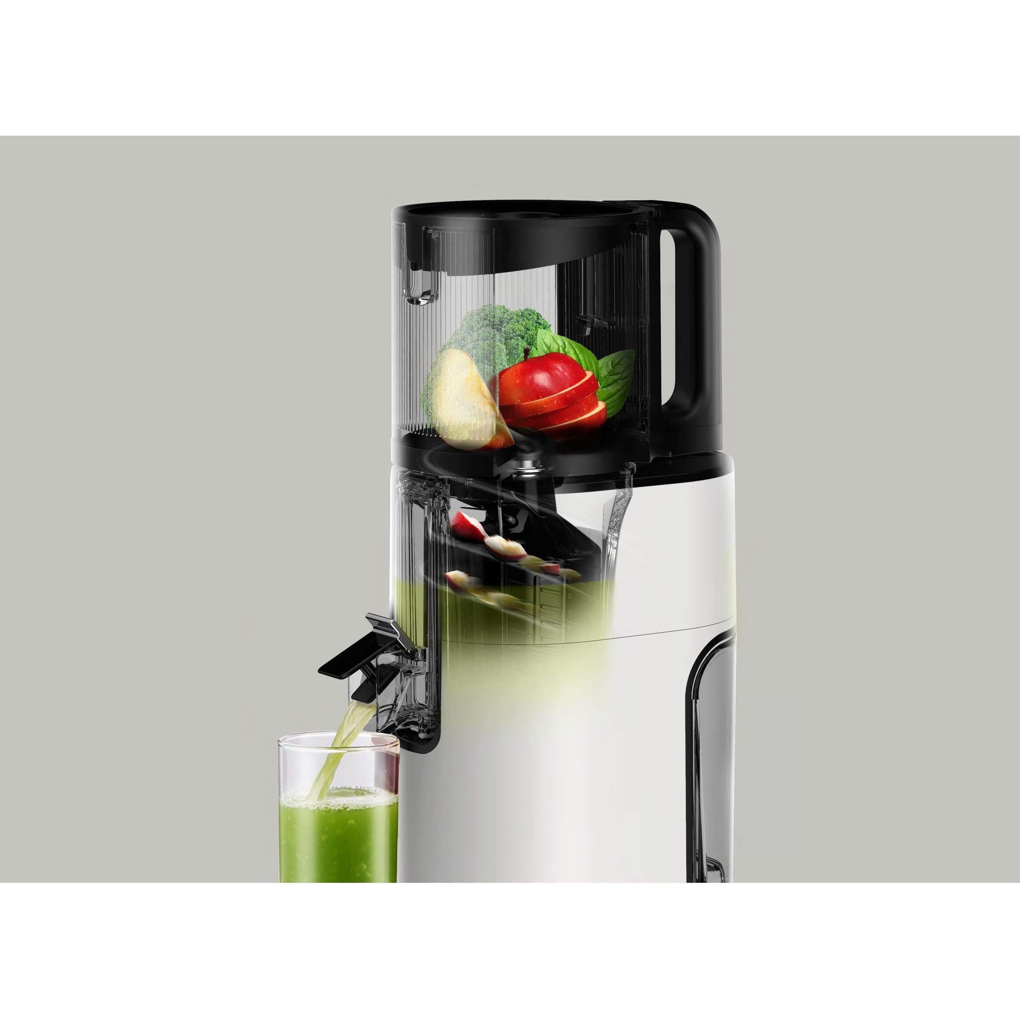 Hurom H400 Slow Juicer Vit