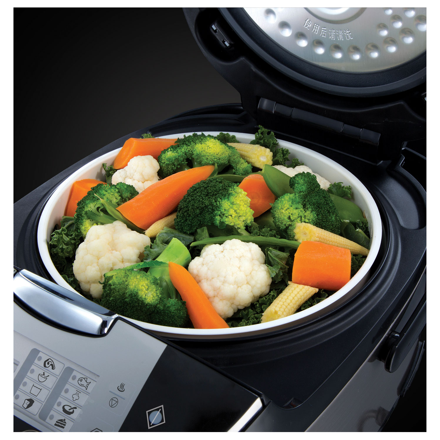 Russell Hobbs Multi Cooker